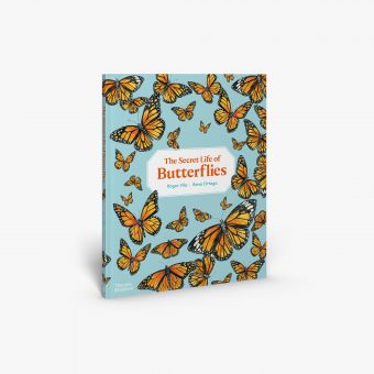 The Secret Life of Butterflies